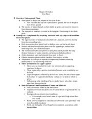 Campbell chapter outlines .